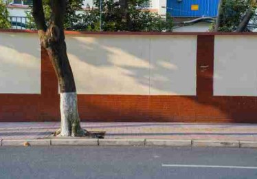 每日大赛51——爆料真相八卦速递完全指南