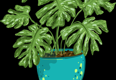 51漫画——IP 进阶用户心声独门心法