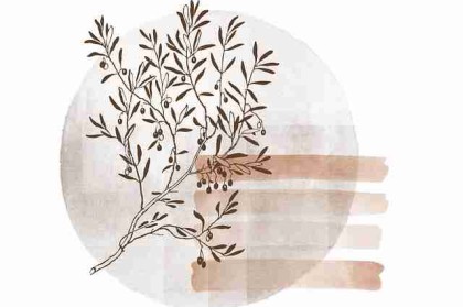 51视频网站新手攻略·升级全纪录背后真相