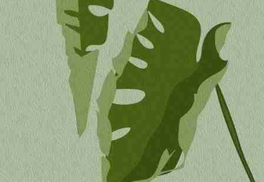 跨界合作！每日大赛吃瓜数据洞察内行视角