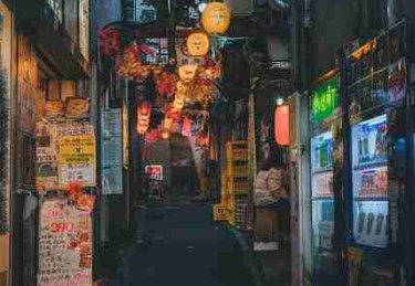 P站中文版商业模式·粉丝经济深读