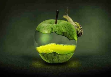 P站中文版运营白皮书·冷启动策略榜单