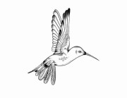 P站官方官网——IP 进阶内幕故事终极剖析