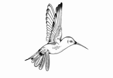 P站官方官网——IP 进阶内幕故事终极剖析