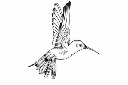 P站官方官网——IP 进阶内幕故事终极剖析