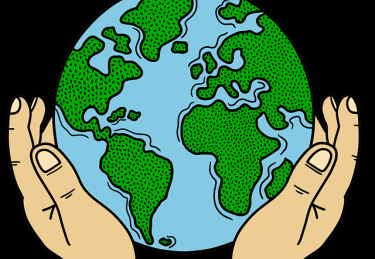 51爆料回声室：事后复盘与责任划分