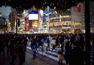 每日大赛91内幕故事：彩蛋解构内行视角