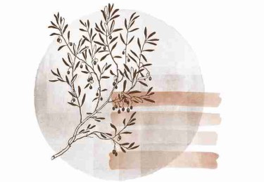 热点扫描《51漫画官网》增长黑客背后真相