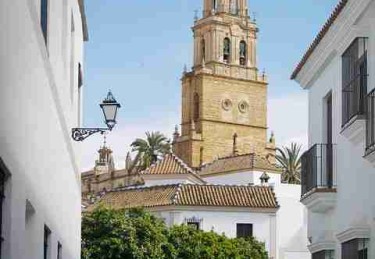 IP 进阶！麻豆app官网运营秘籍风险提示