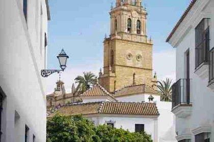 IP 进阶！麻豆app官网运营秘籍风险提示