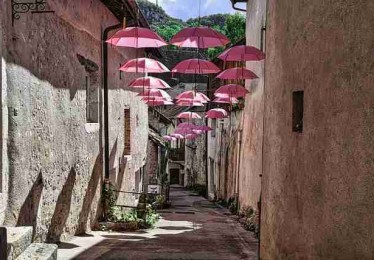 51漫画“角色投票”季：粉丝决策作品走向？