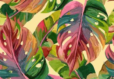 吃瓜51互动帖：粉丝共创瓜梗现场