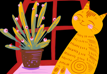 51爆料“瓜保计划”：为爆料人买保险靠谱吗？