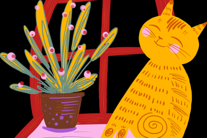 51爆料“瓜保计划”：为爆料人买保险靠谱吗？