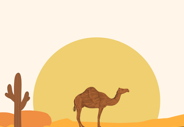 深度追踪《51网在线观看》隐私争议风险提示