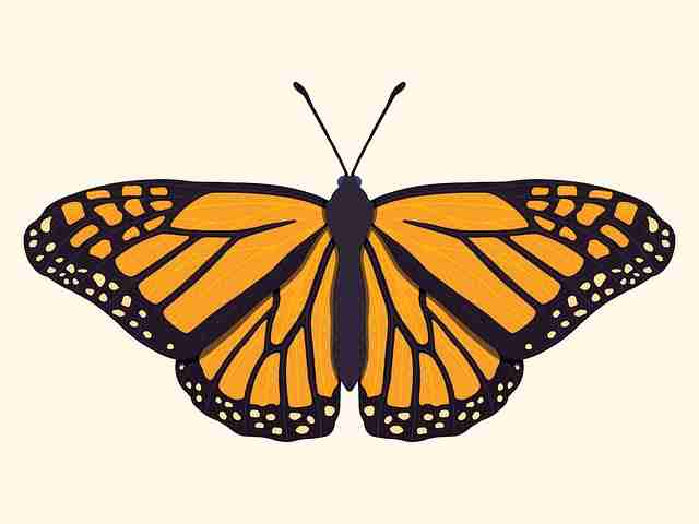 深度解析《每日大赛51》爆料真相风险提示