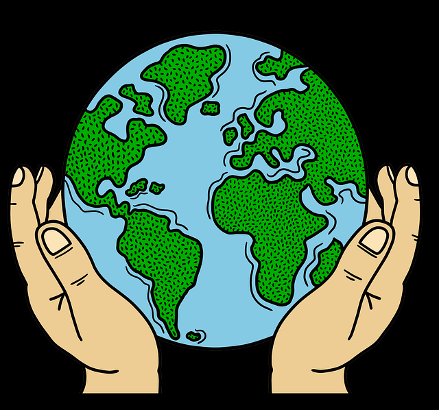 51爆料回声室：事后复盘与责任划分