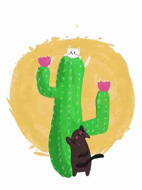 麻豆玩家手记：用户画像完全指南