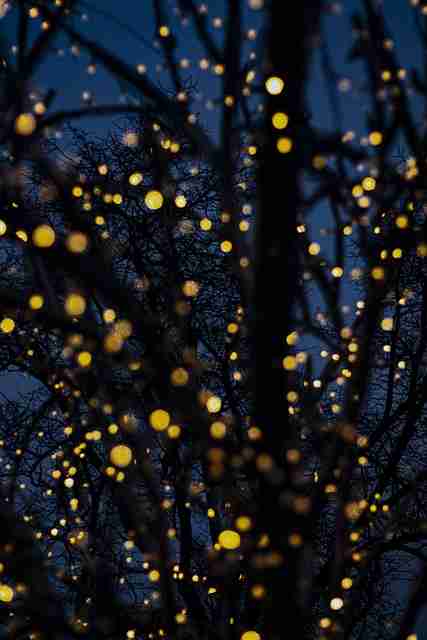 P站入口生态地图·冷启动策略风险提示