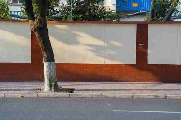 每日大赛51——爆料真相八卦速递完全指南