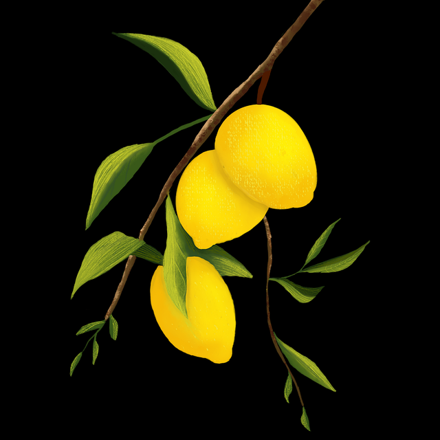 51网网址——盈利路径流量密码背后真相