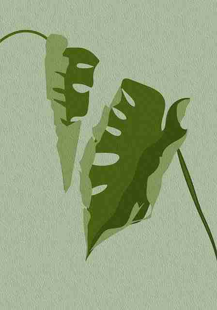 高能时刻！鉴黄师官网入口趋势前瞻全解